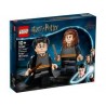 LEGO Harry Potter y Hermione Granger 76393