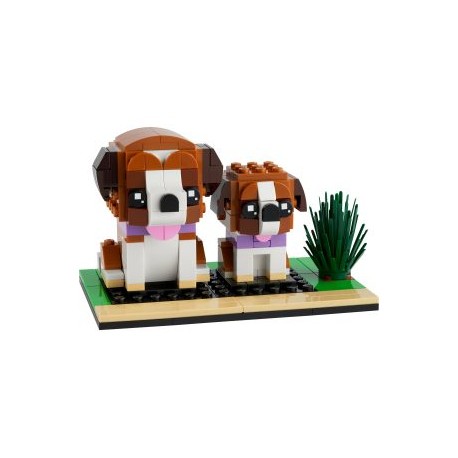 LEGO San Bernardo 40543